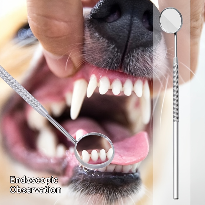6pcs Soundwave Tartar Remover  - Teeth Whitening Mouthwash 评论和价格