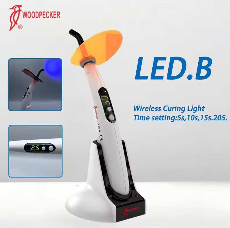Dental Curing Light Woodpecker - Teeth Whitening Kit 评论和价格