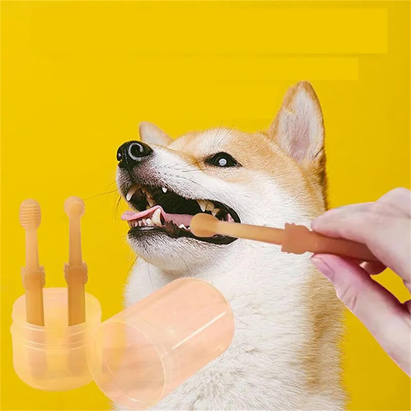 Teeth Whitening Dog Cat Silico - Teeth Whitening Kit 评论和价格